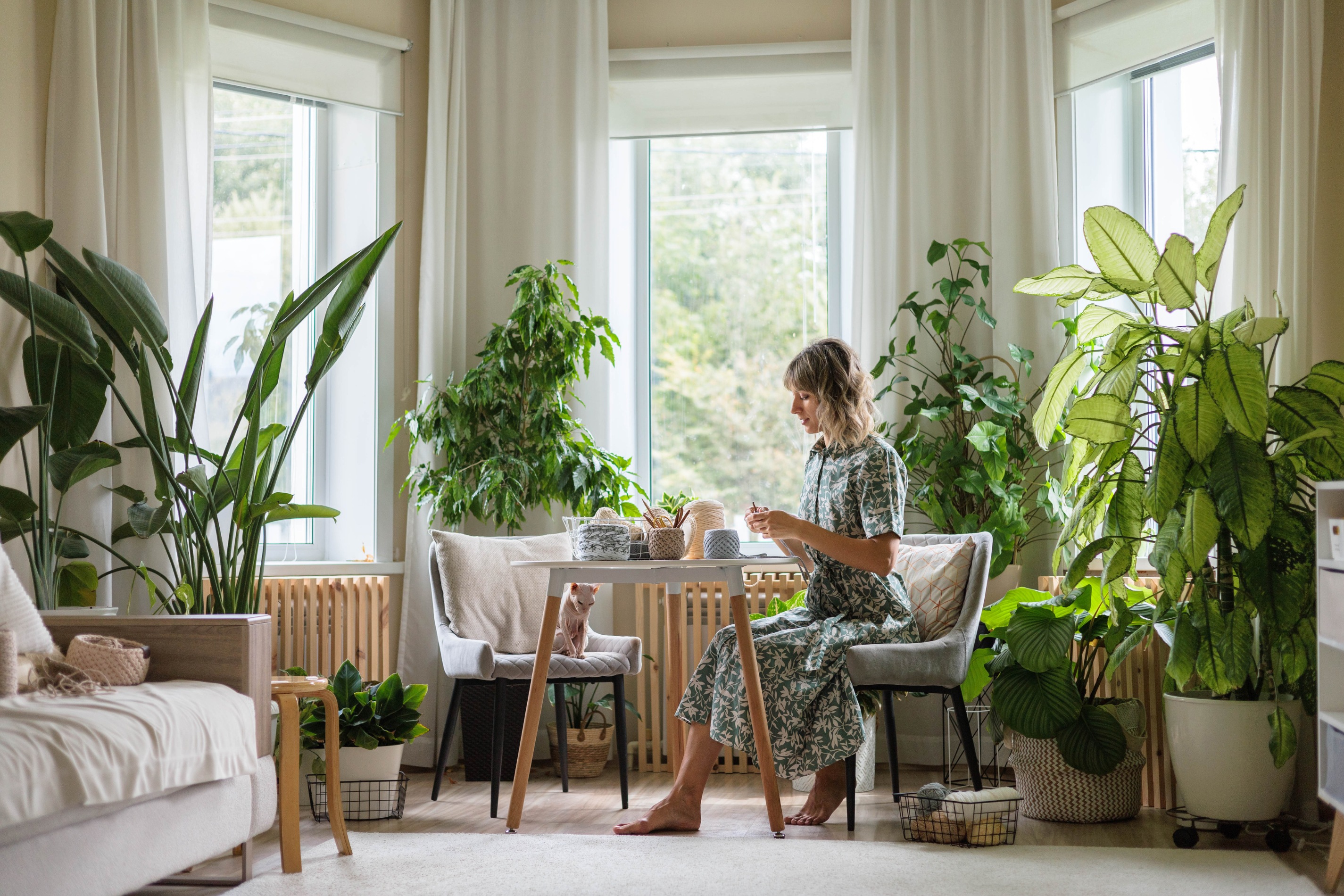 Sustainable Interior Design: Eco-Friendly Ideas for Your Space