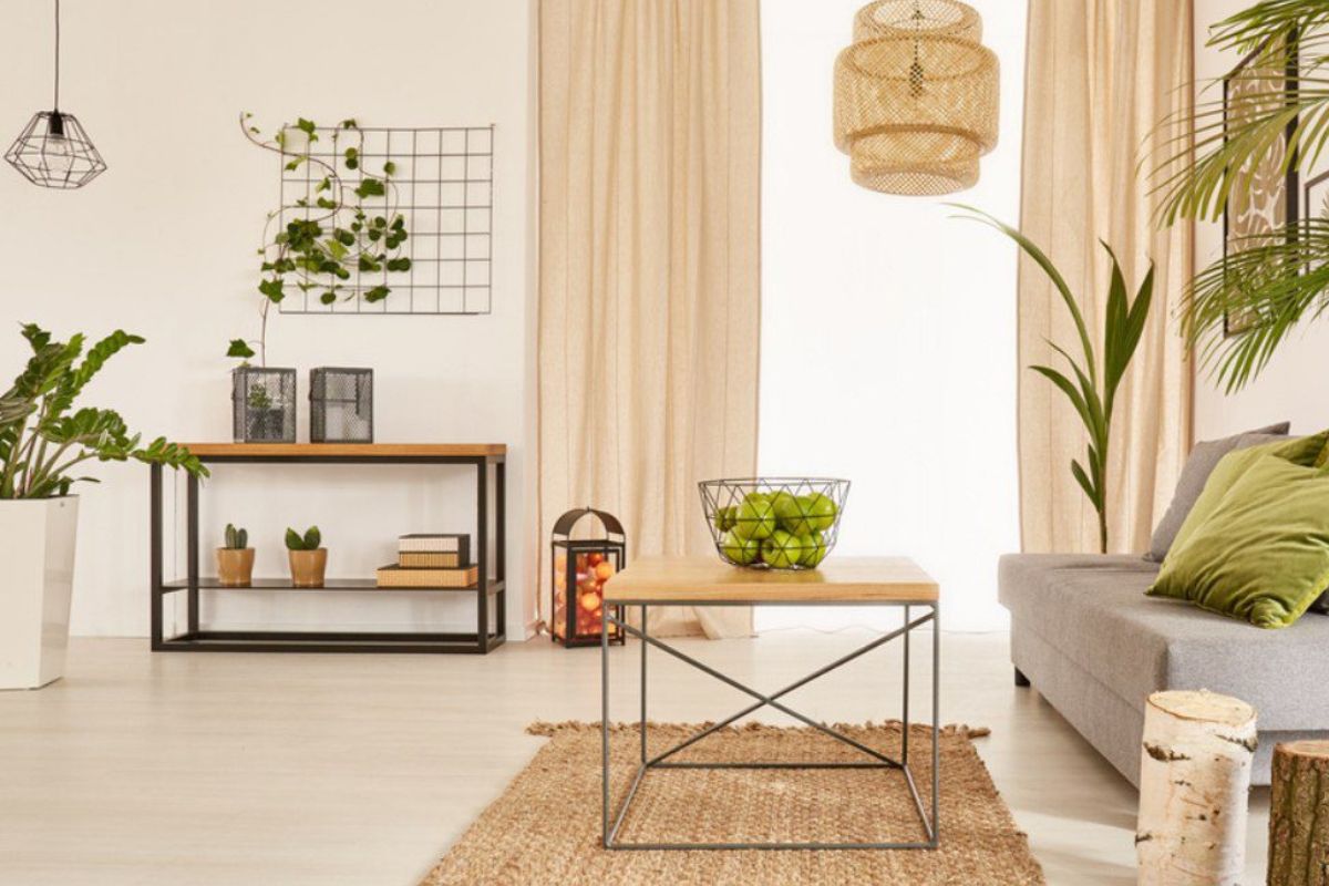 modern style organic Indoor plants ideas for home decor 